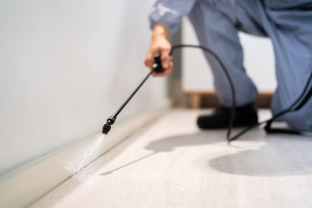 Professional exterminator conducting IPM assessment in South Salt Lake